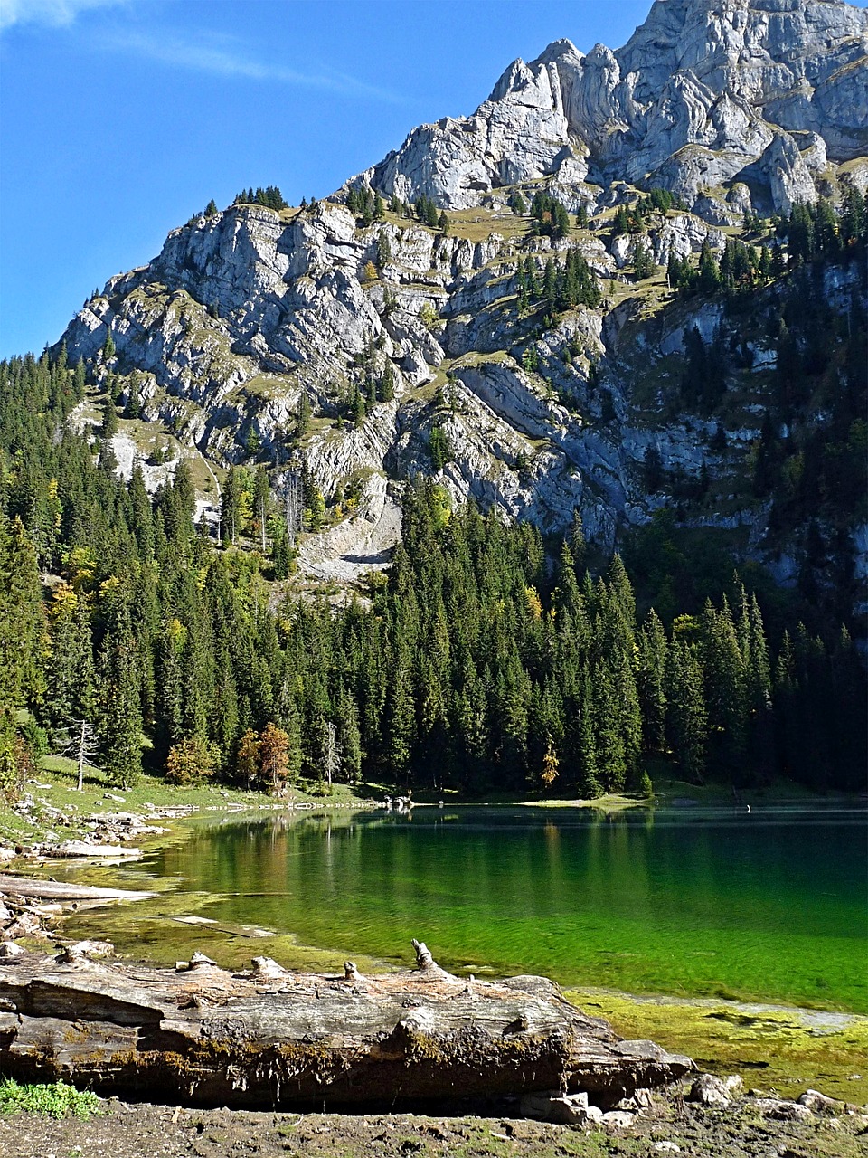 landscape nature bergsee free photo