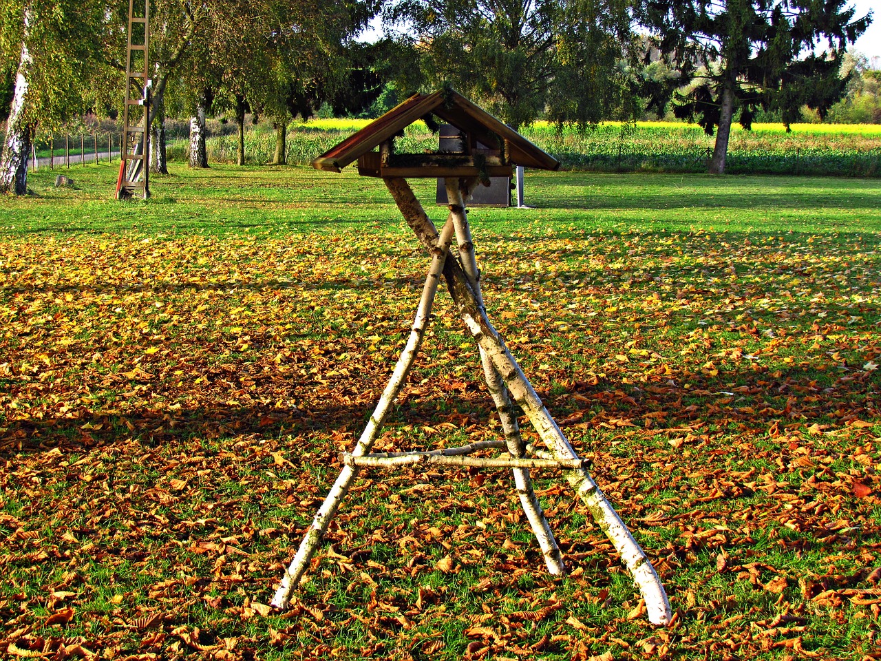 landscape autumn autumn gold free photo