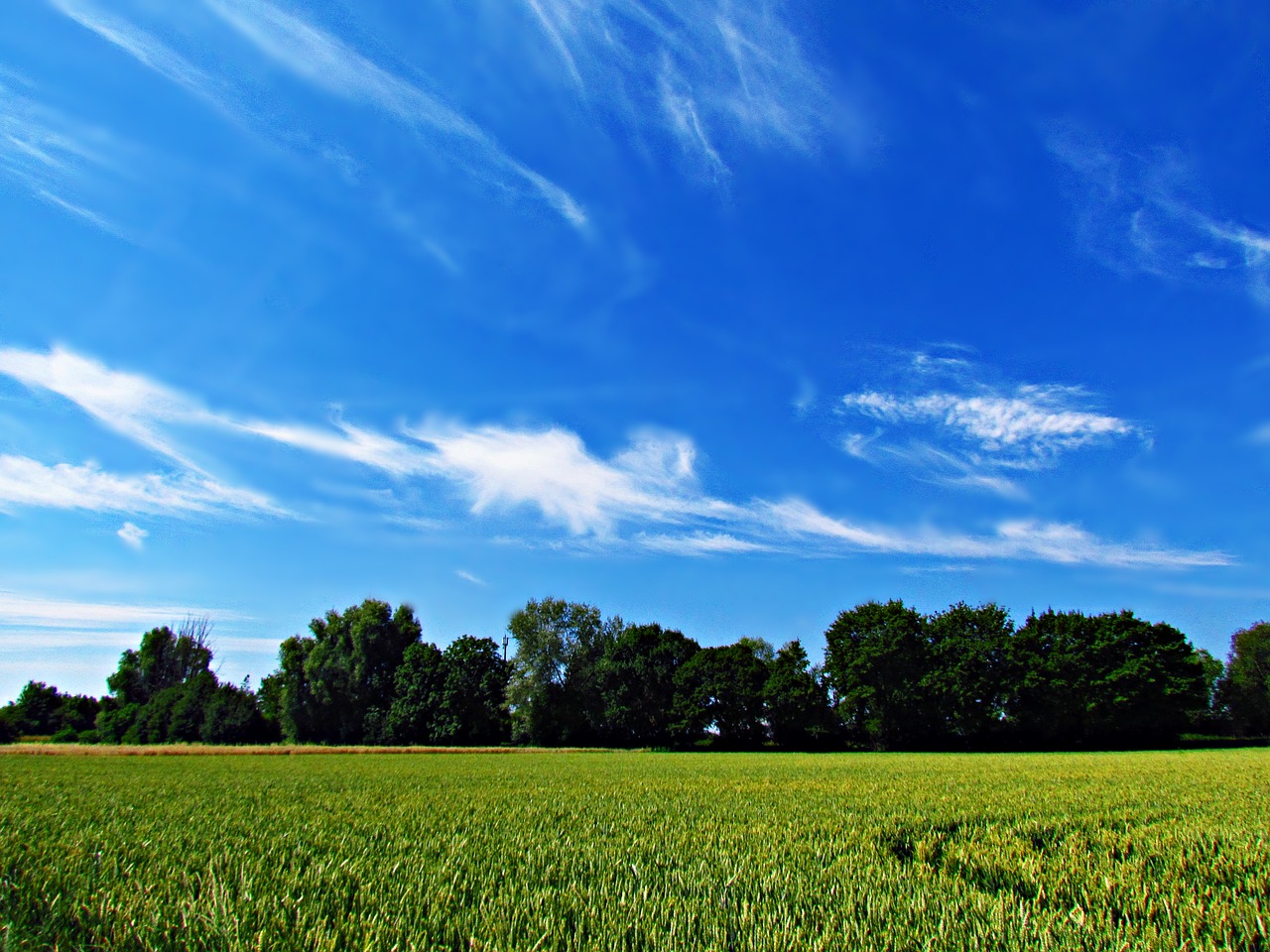 landscape sky clouds free photo