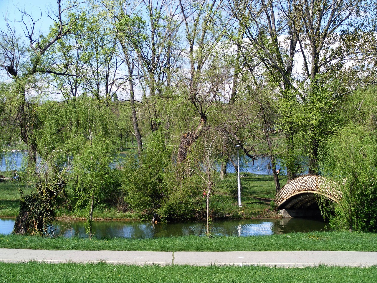 landscape trees green free photo