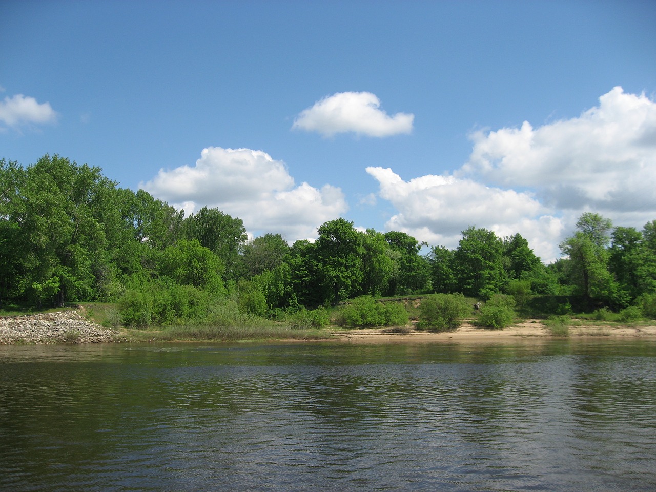 landscape water trees free photo