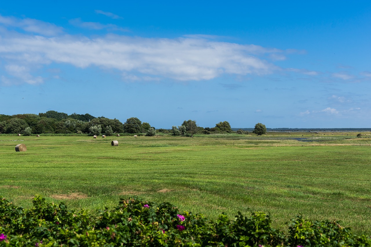 landscape nature agriculture free photo