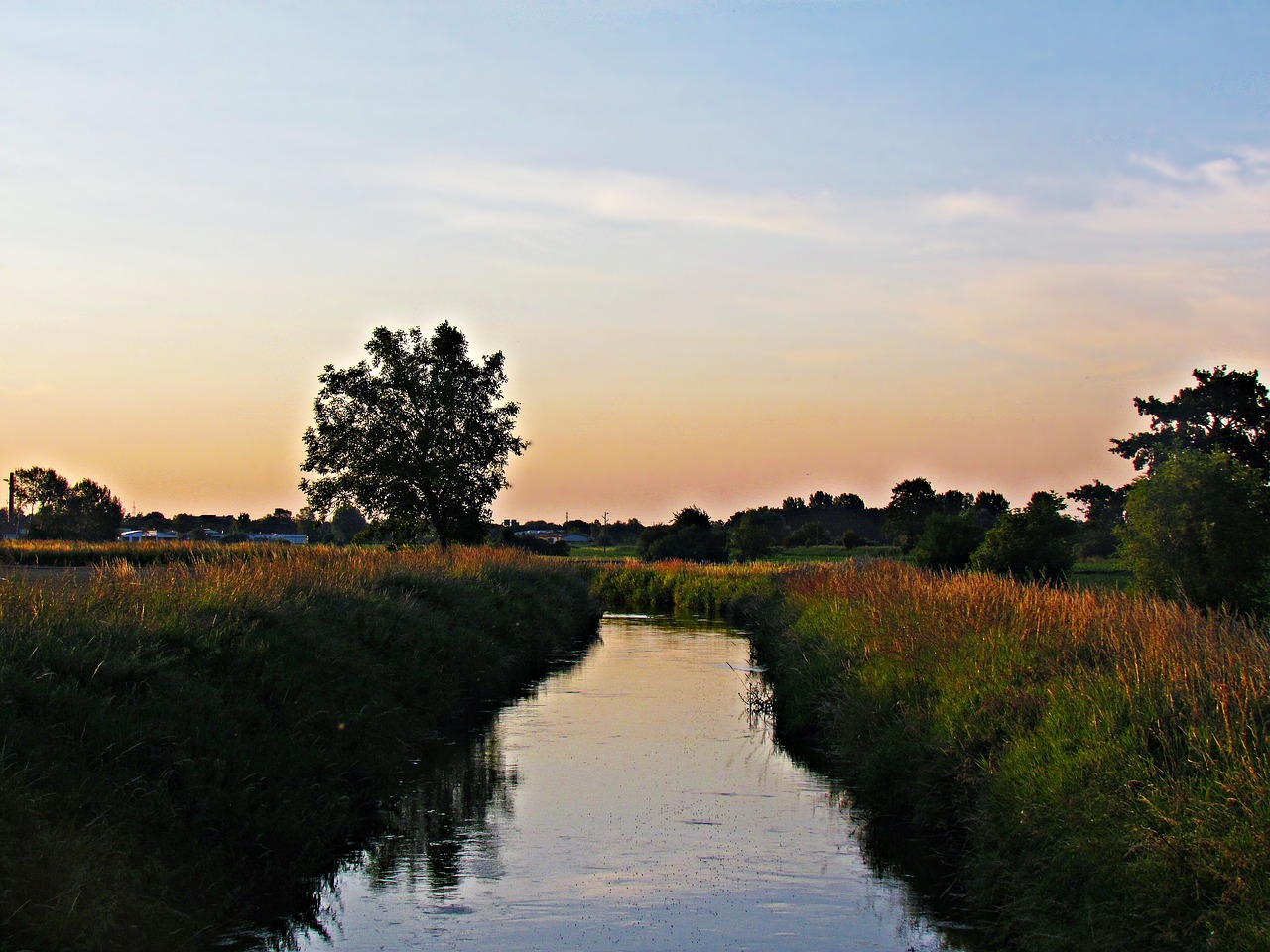 landscape field nature free photo