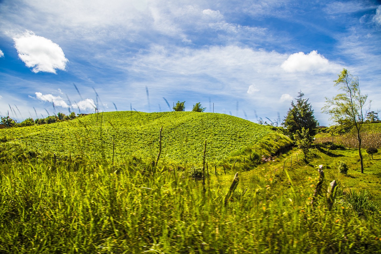 landscape mountain green free photo