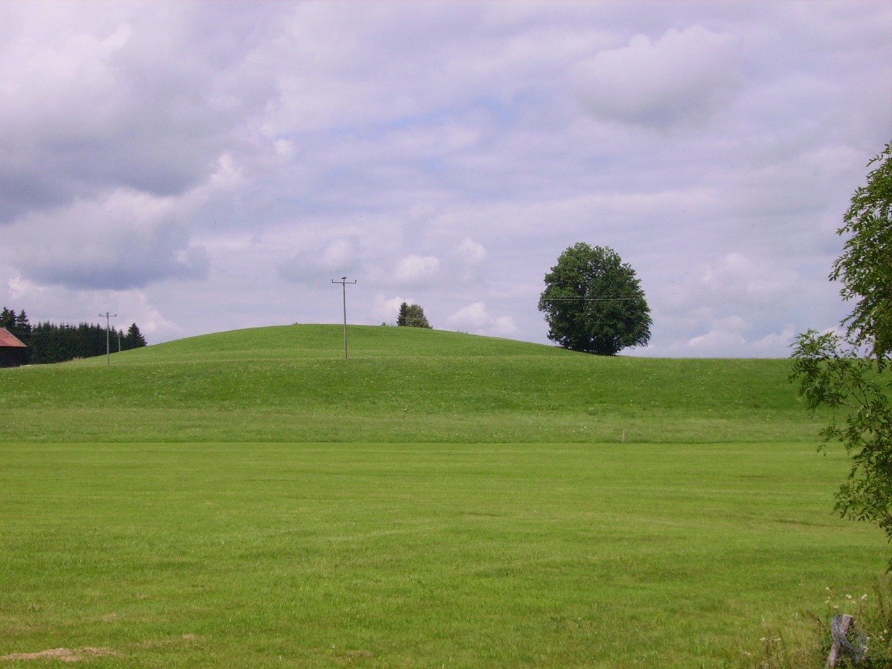 landscape meadow nature free photo