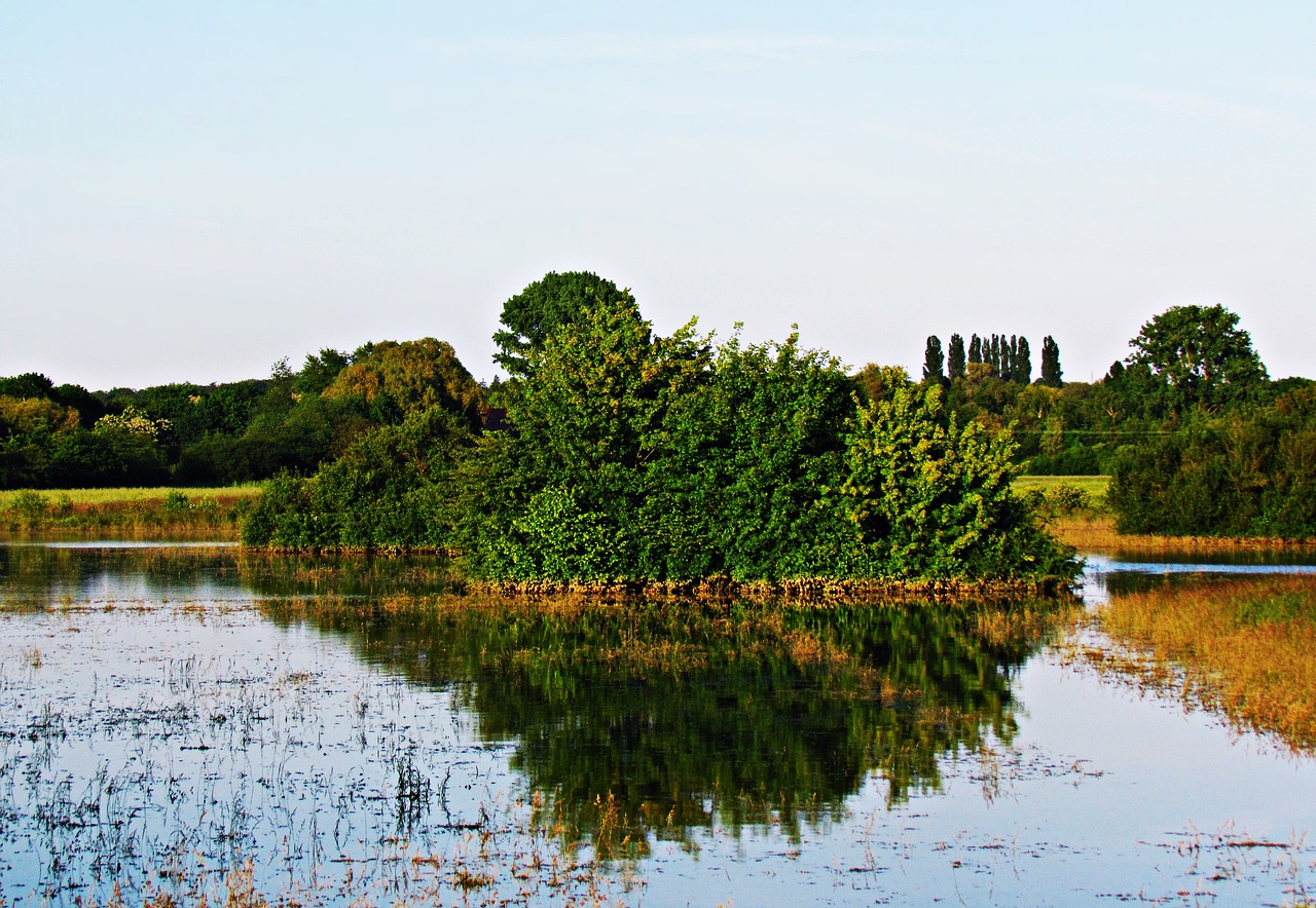 landscape grass water free photo