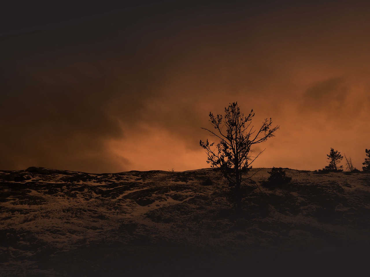 landscape sunset barren free photo