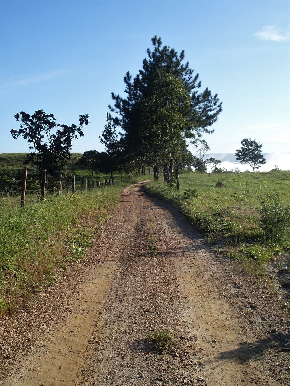 landscape country road free photo