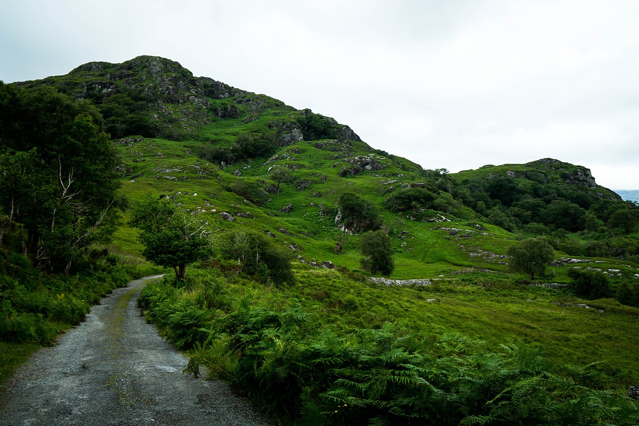 landscape ireland nature free photo