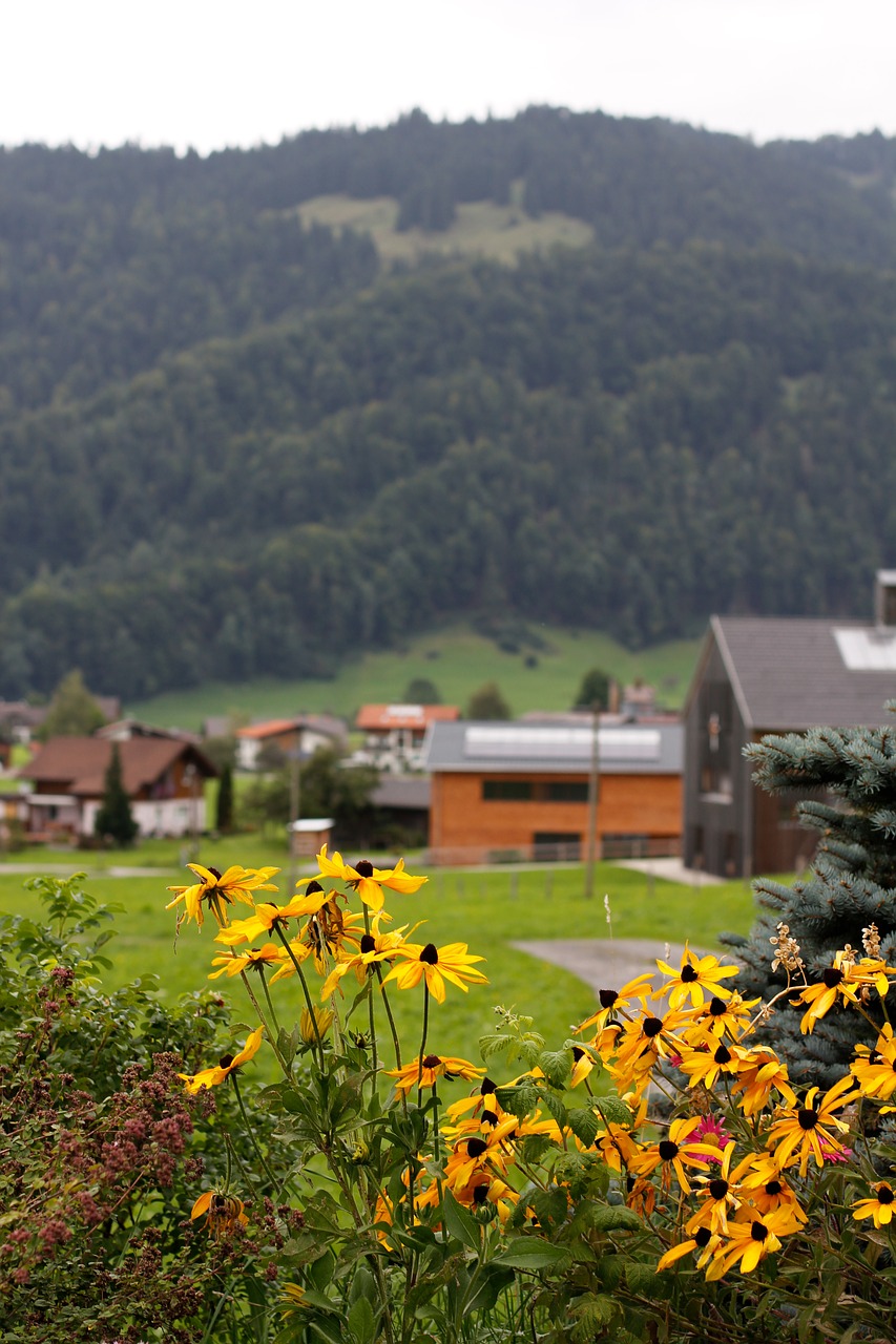 landscape mountains austria free photo