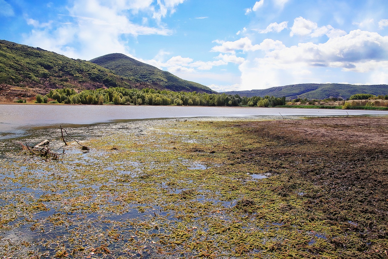 landscape water mountain free photo