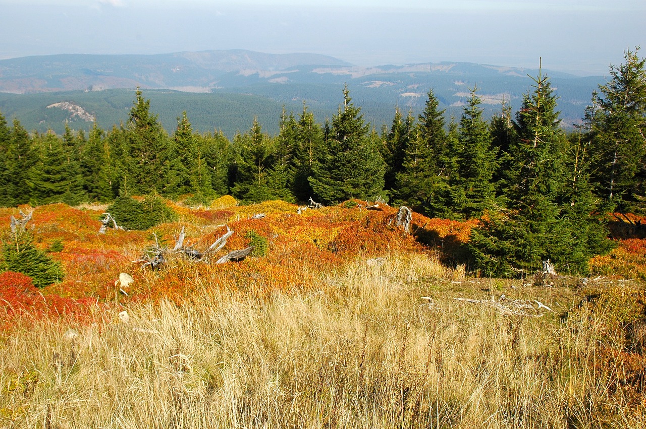 landscape panorama autumn free photo