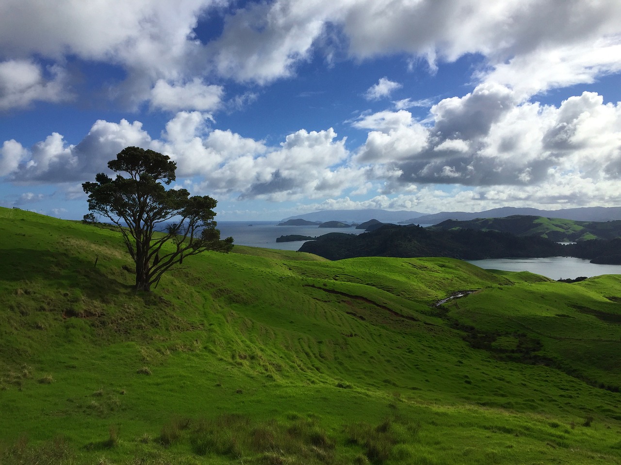 landscape nature new zealand free photo