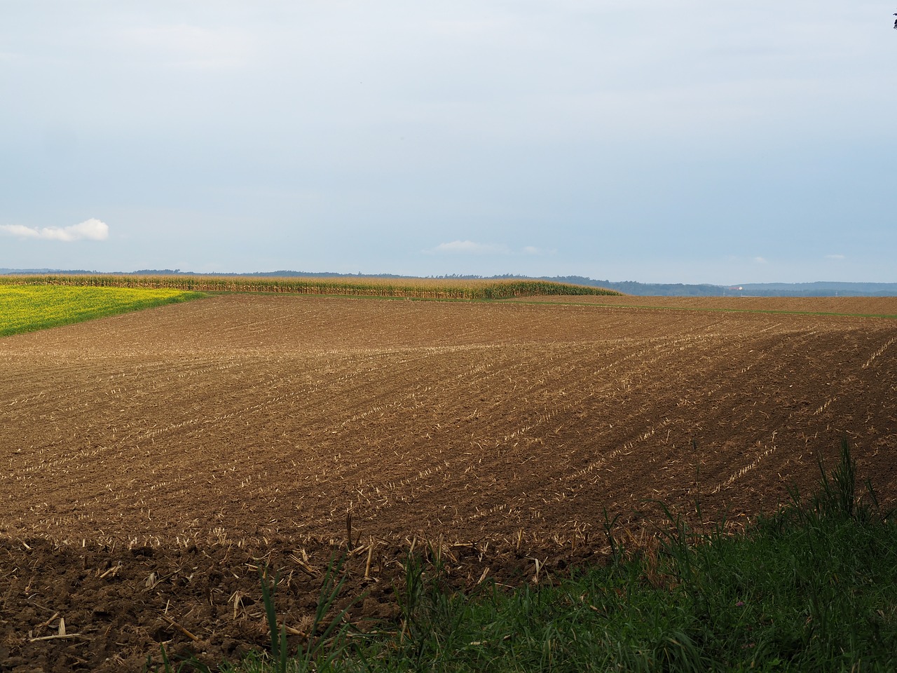 landscape hilly arable free photo