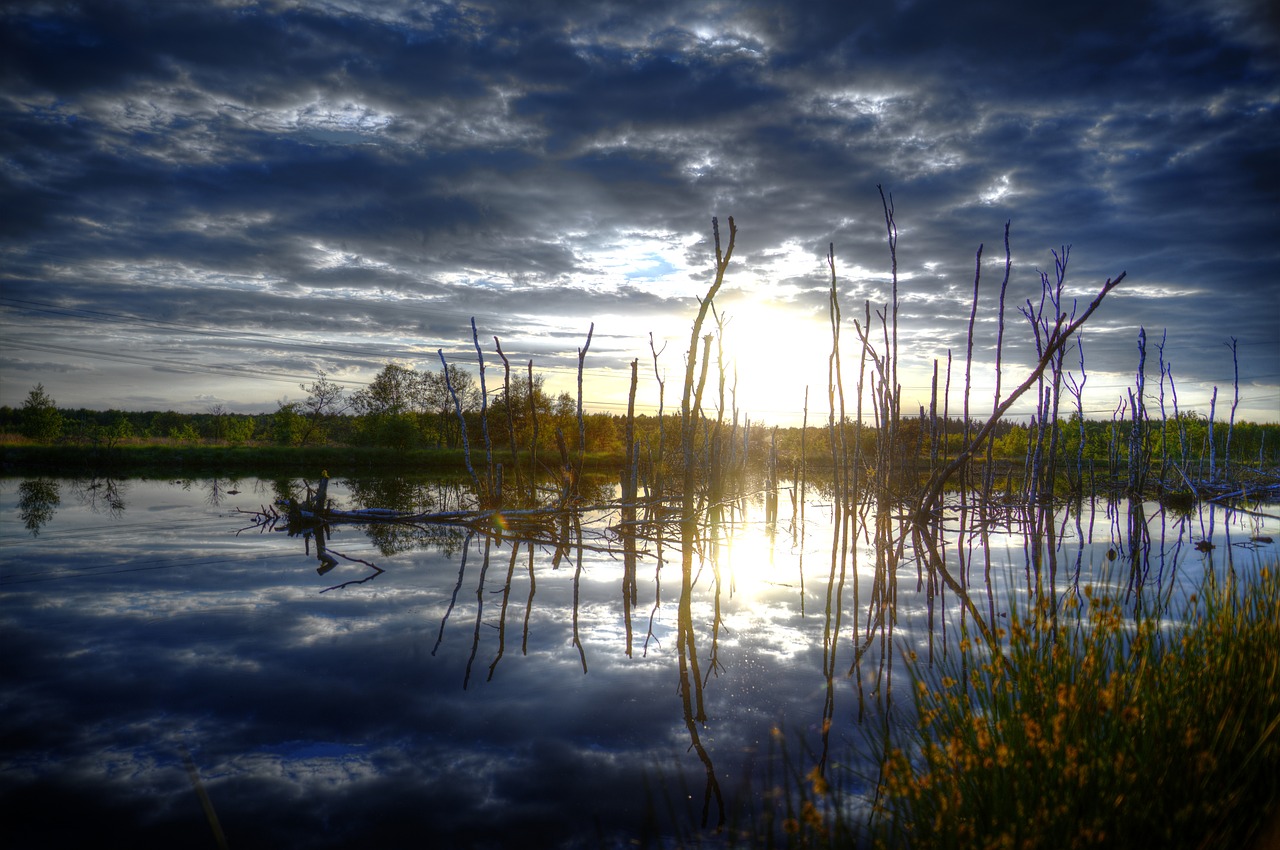 landscape photography reflection free photo