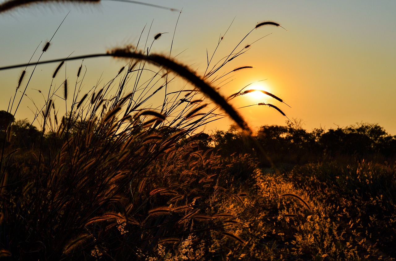 landscape sunset sky free photo