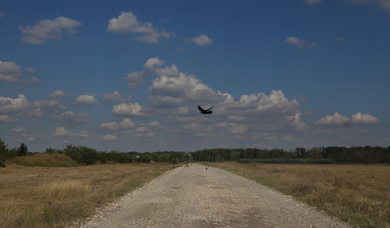 landscape road cloud free photo