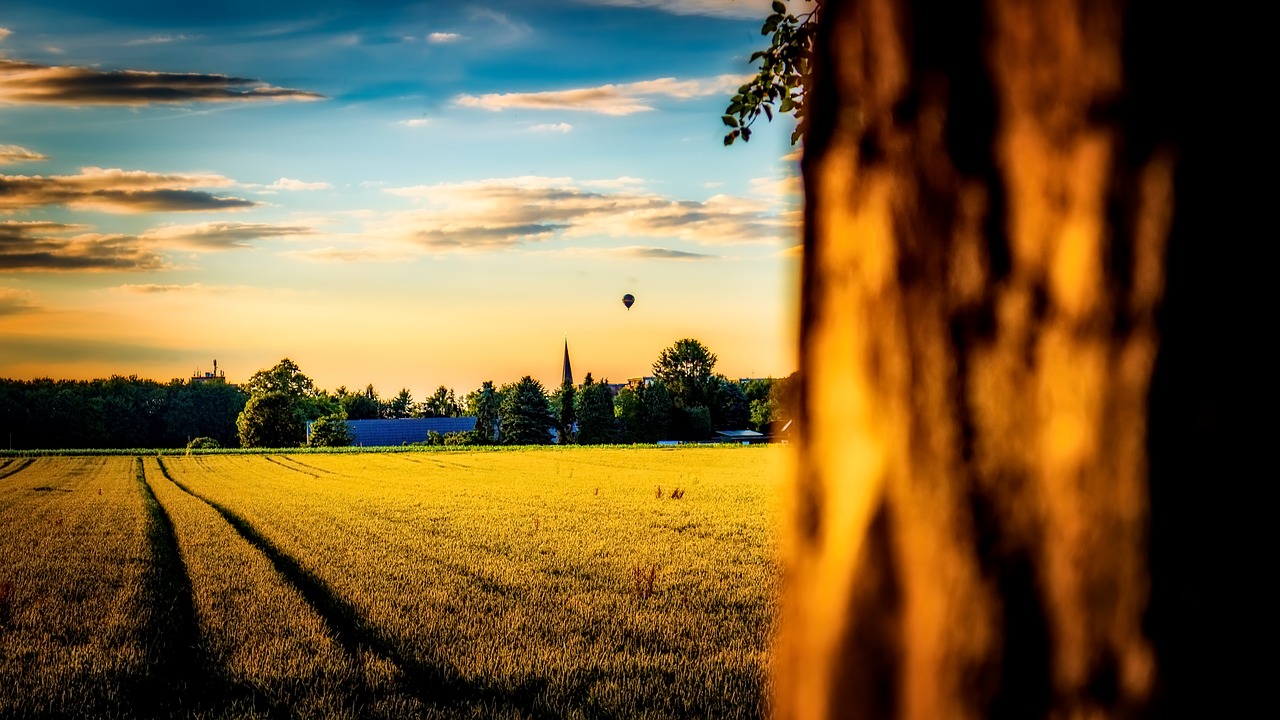 landscape hot balloon balloon free photo