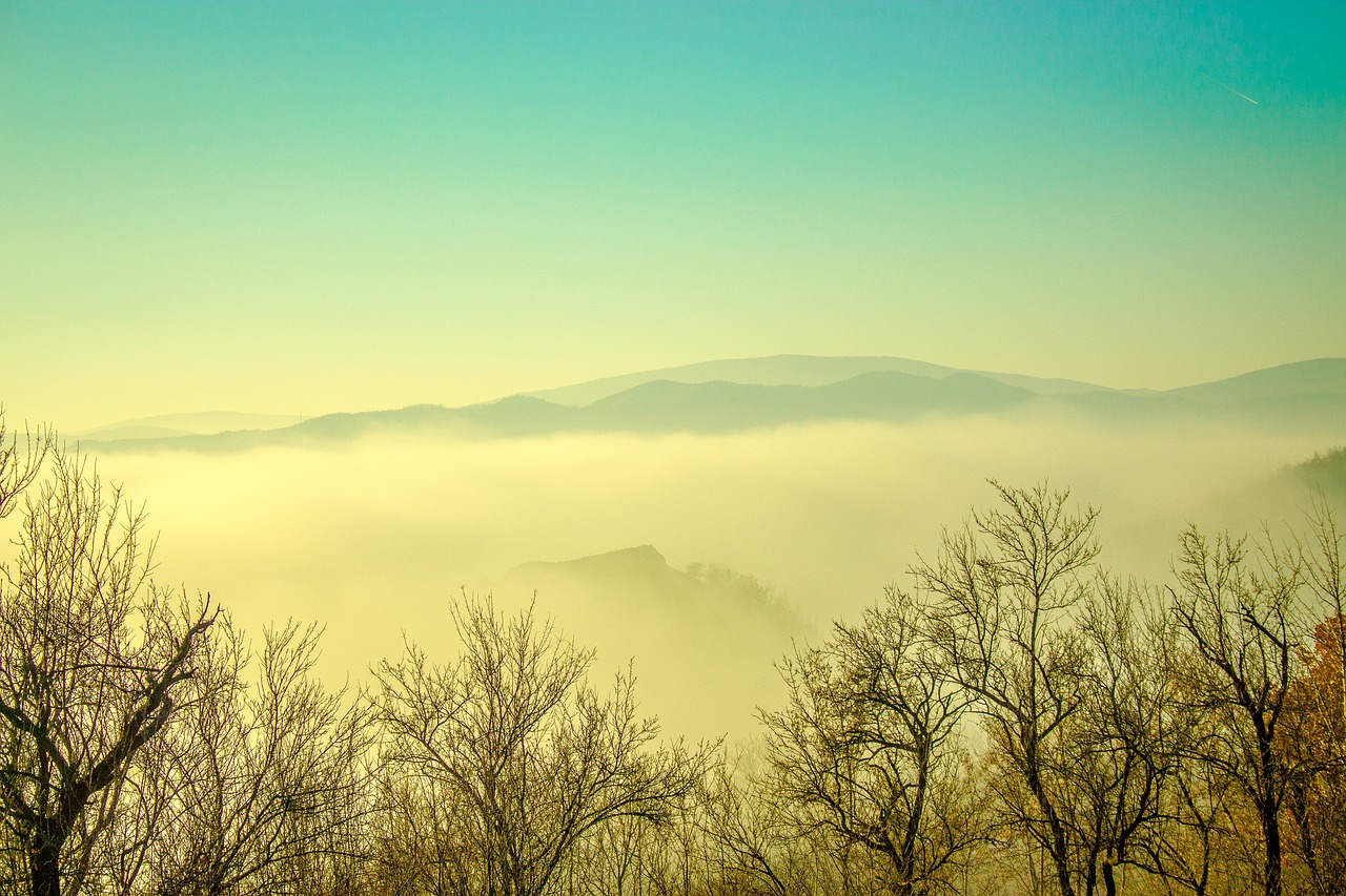 landscape fog mountain free photo