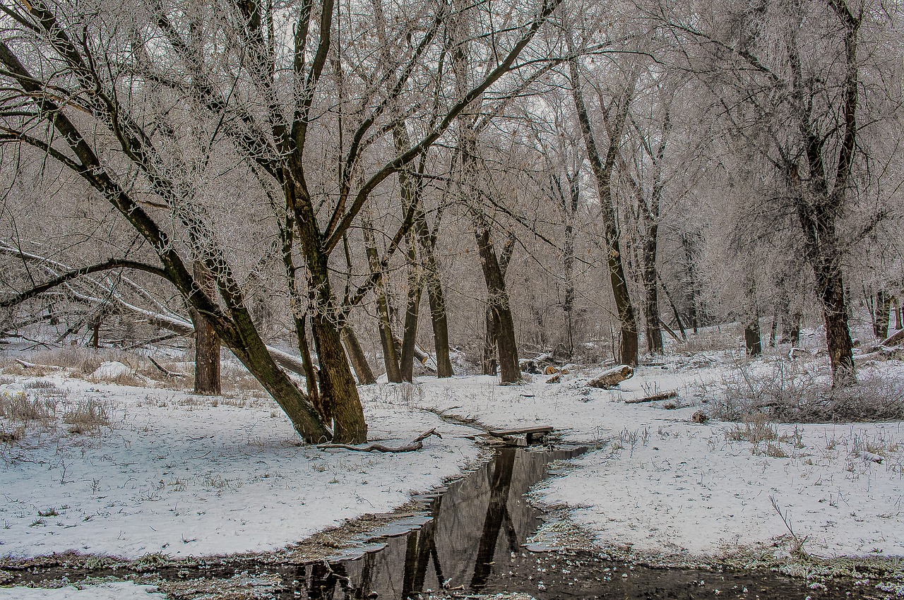 landscape water reflection free photo