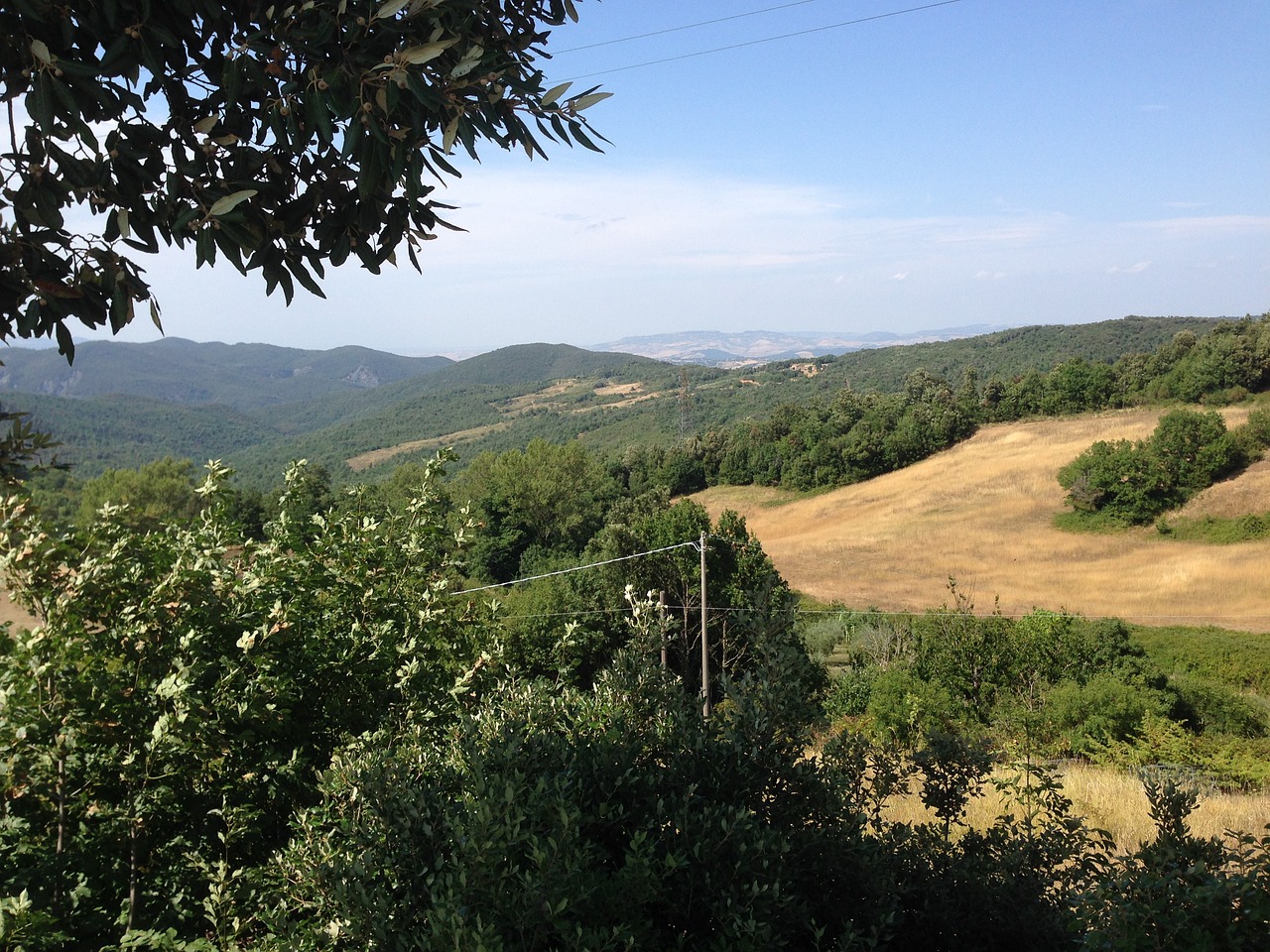 landscape trees nature free photo