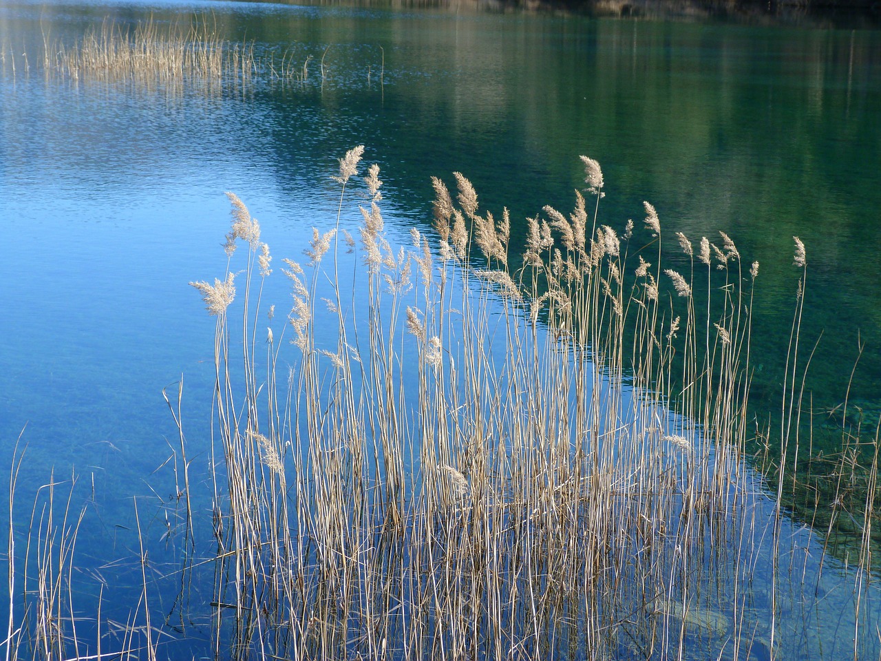 landscape nature water free photo