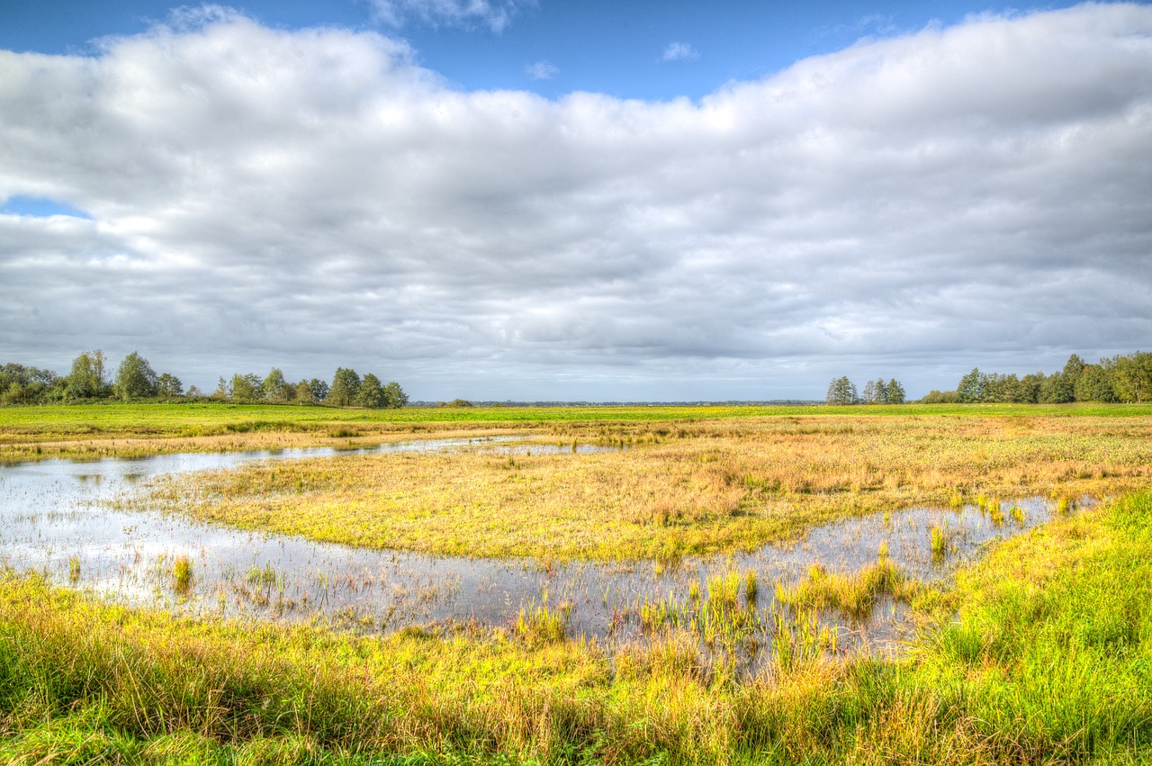 landscape meadows blue sky free photo