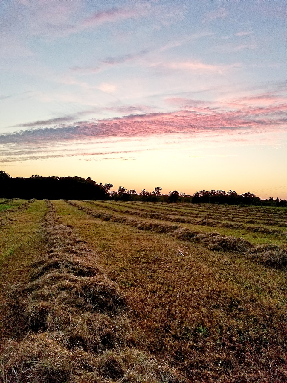 landscape nature sky free photo