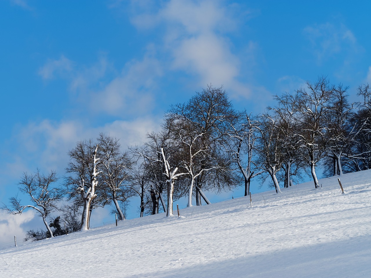 landscape winters hill free photo