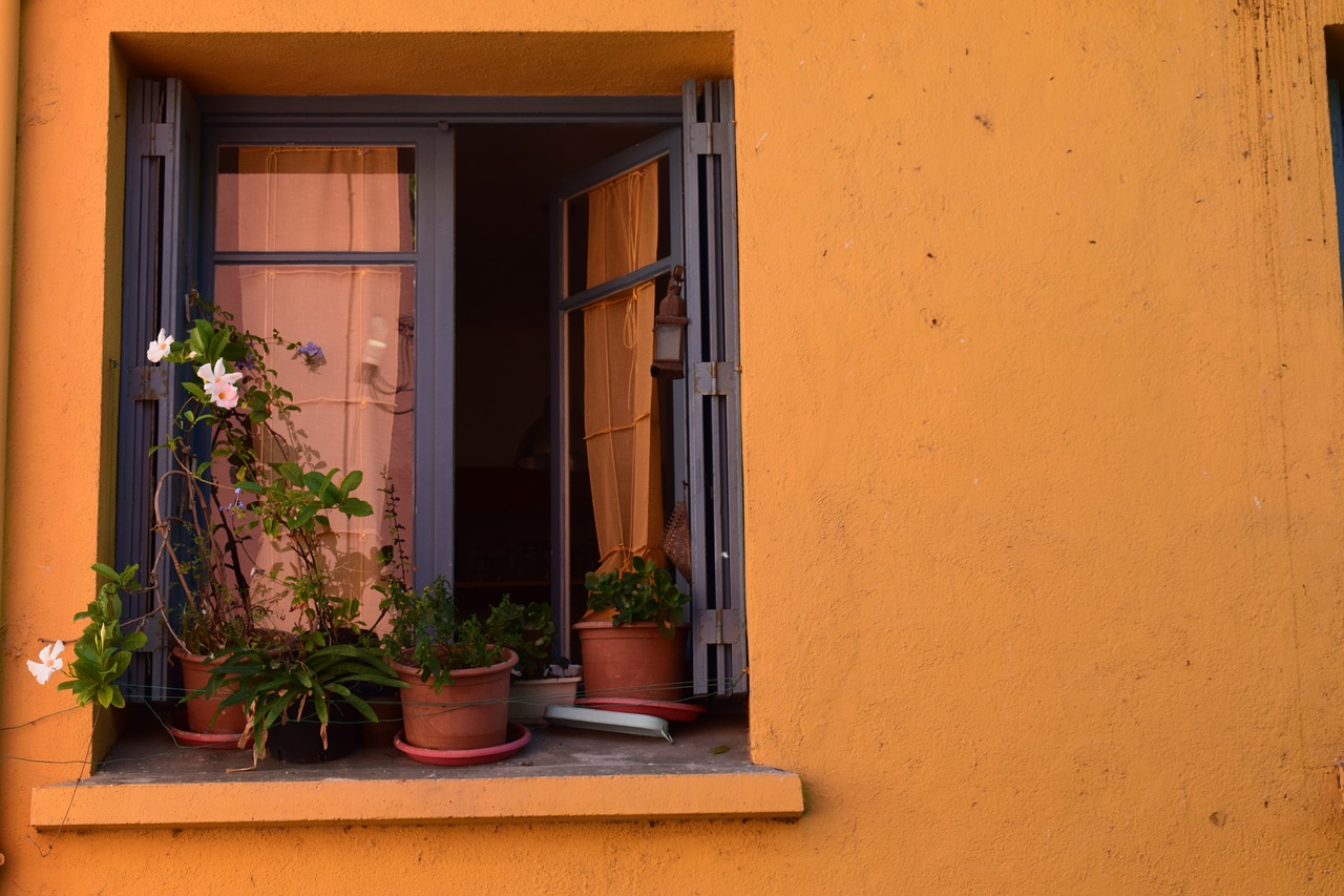 landscape window flower free photo