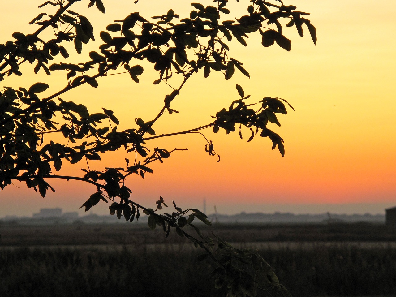 landscape sunset archsum free photo