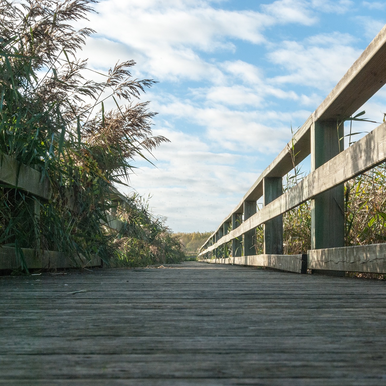 landscape bridge sky free photo