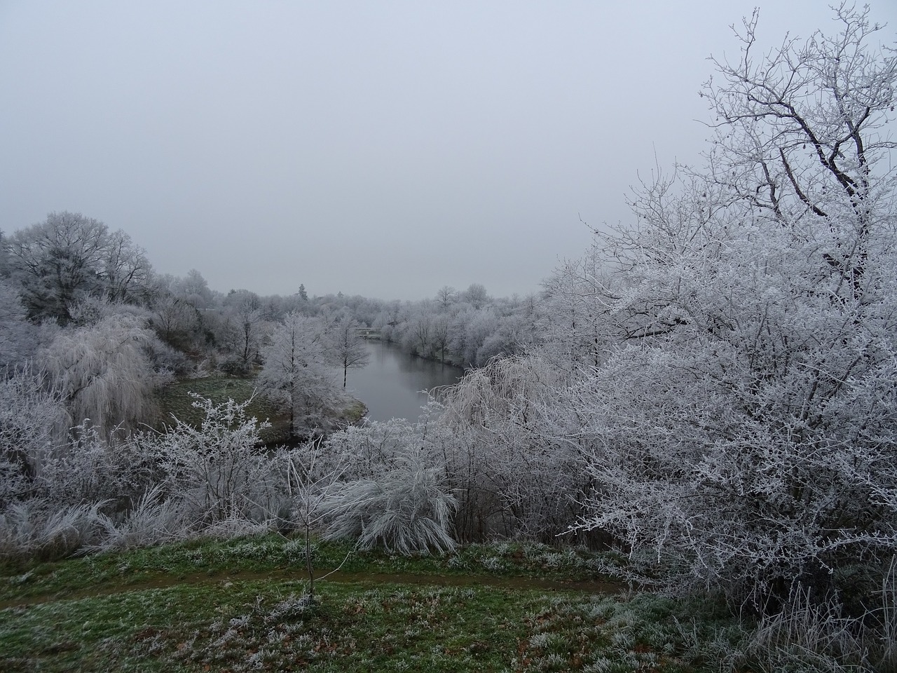 landscape snow trees free photo