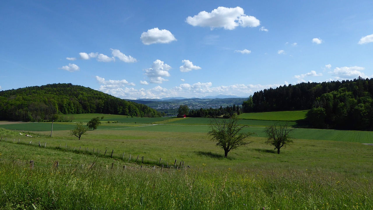 landscape sun green free photo