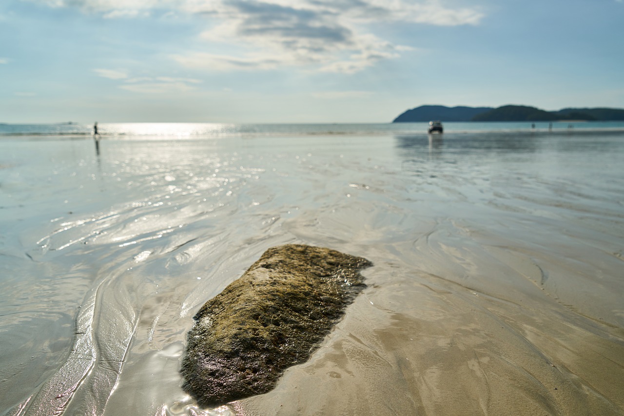 landscape marine stone free photo