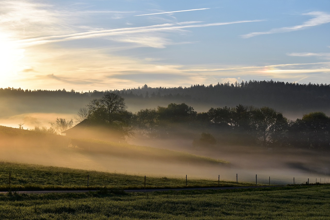 landscape fog morgenstimmung free photo