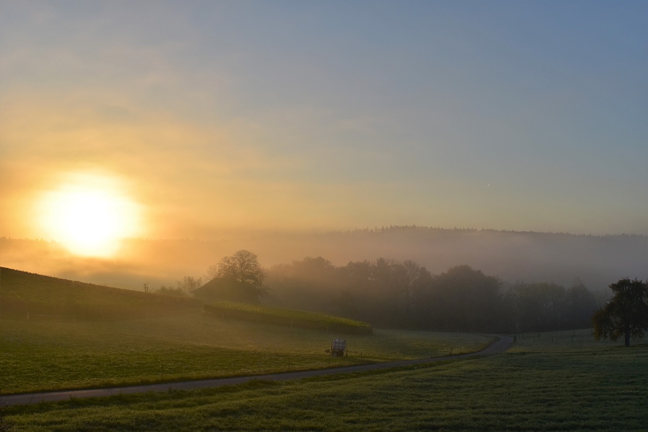 landscape fog morgenstimmung free photo