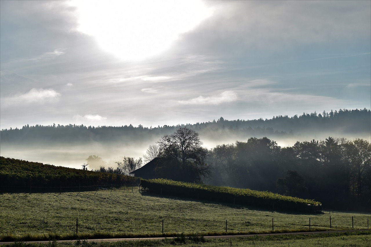 landscape back light sunrise free photo