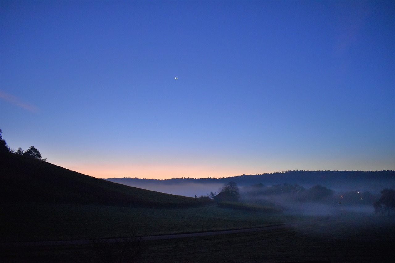 landscape fog morning free photo