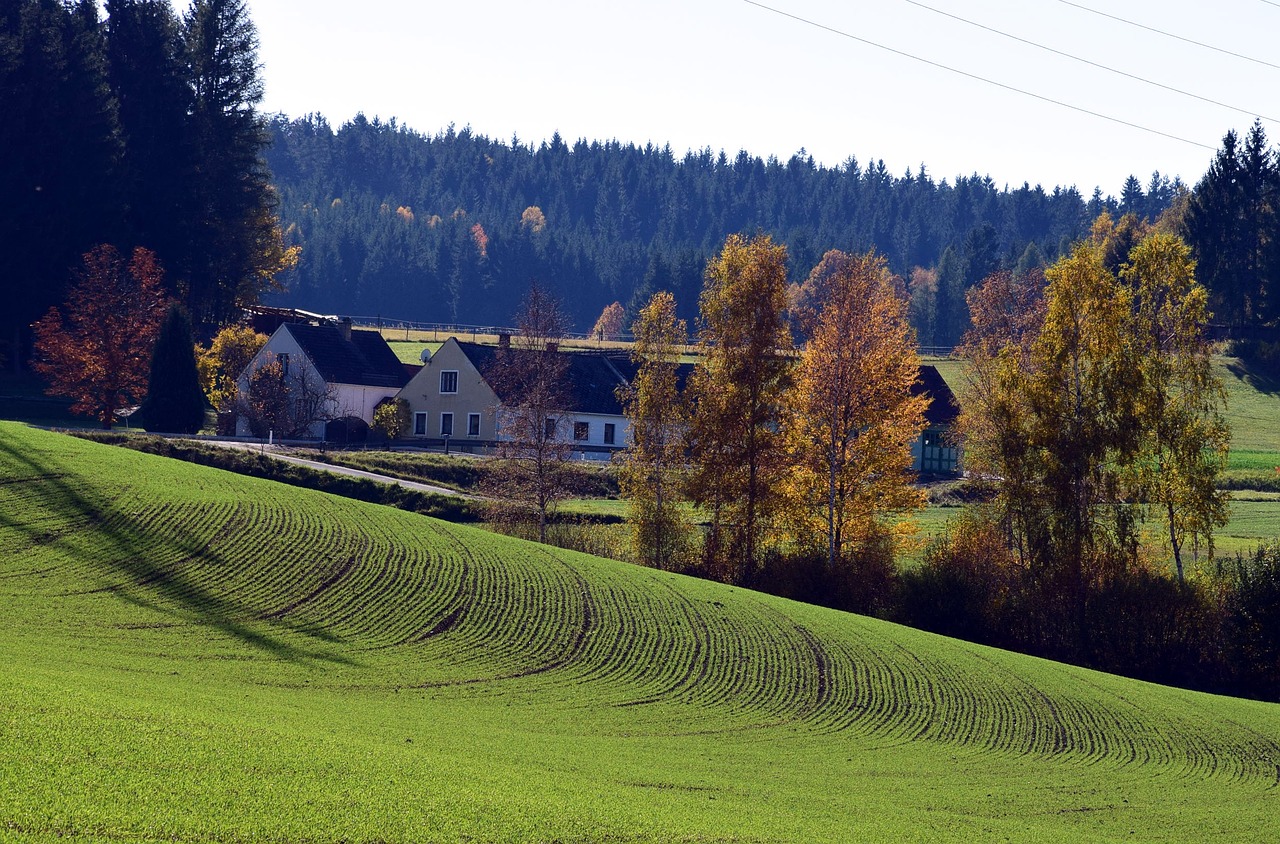 landscape tree golden autumn free photo