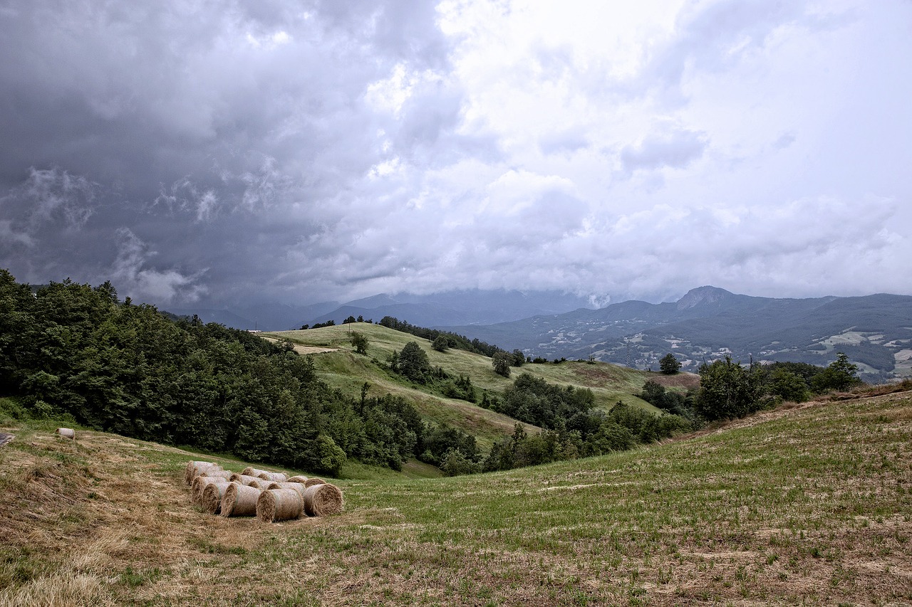 landscape bales hay free photo