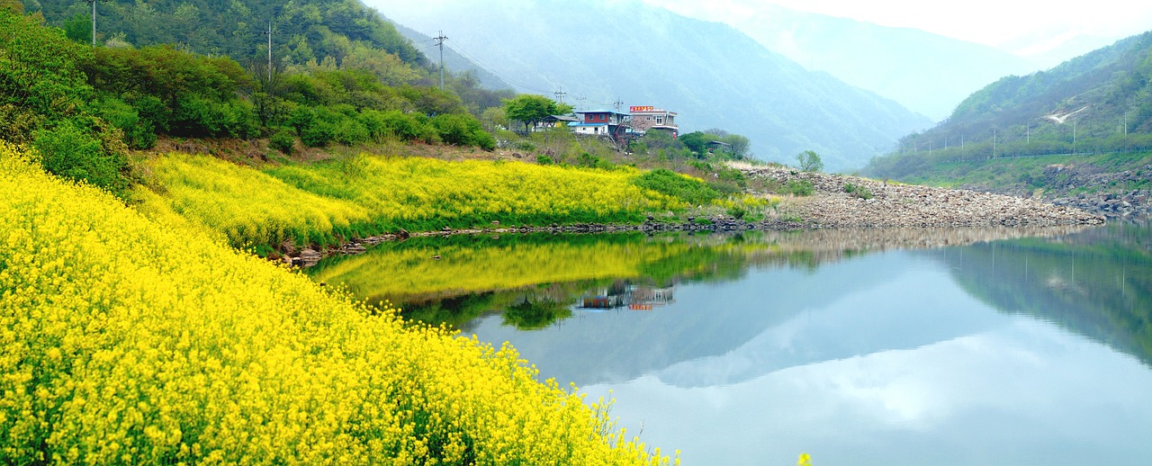 landscape seomjin with flower free photo
