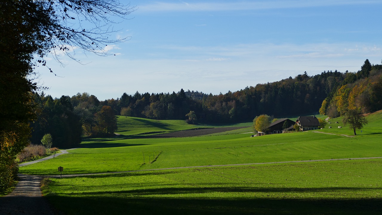 landscape farm fields free photo