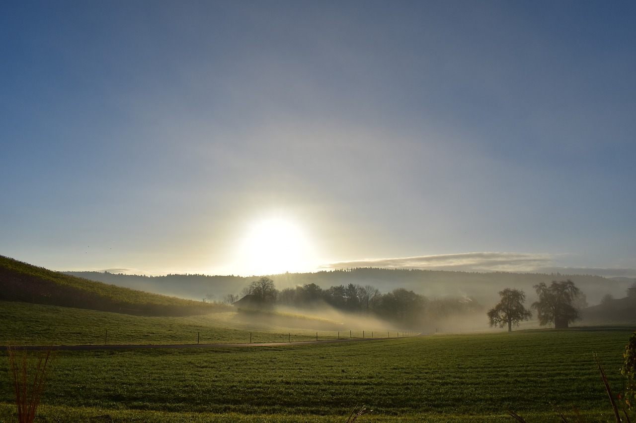 landscape fog morning sun free photo