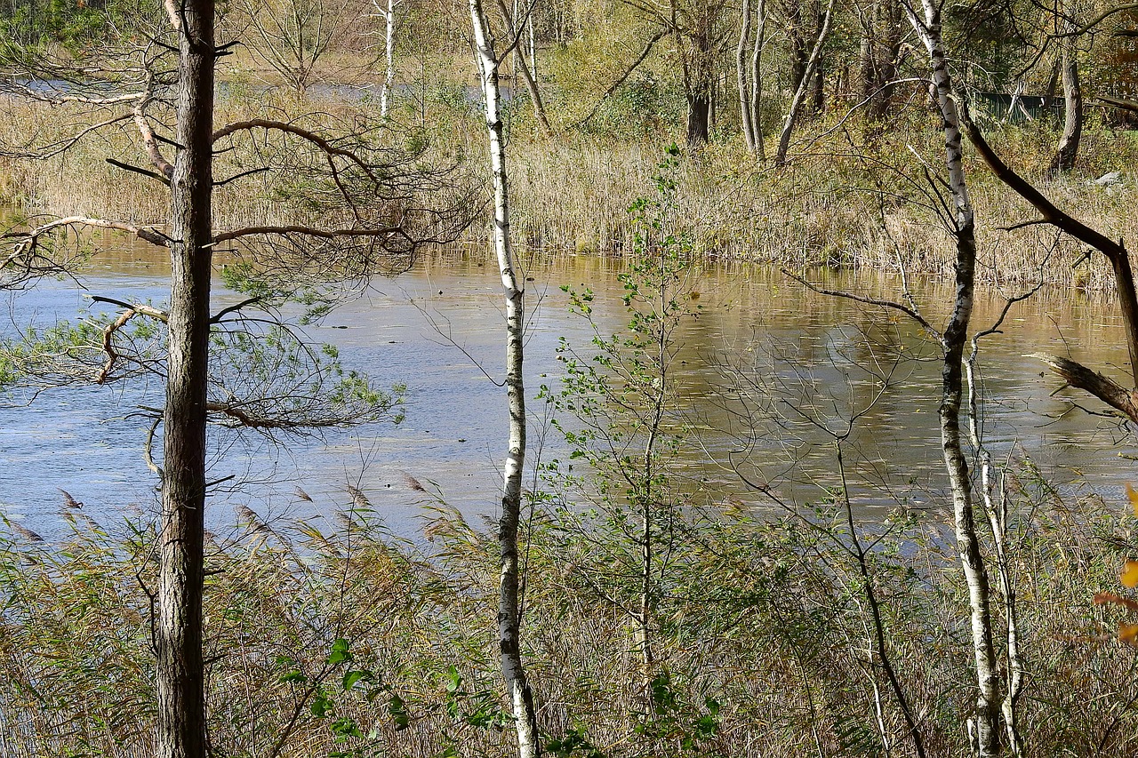 landscape lake water free photo