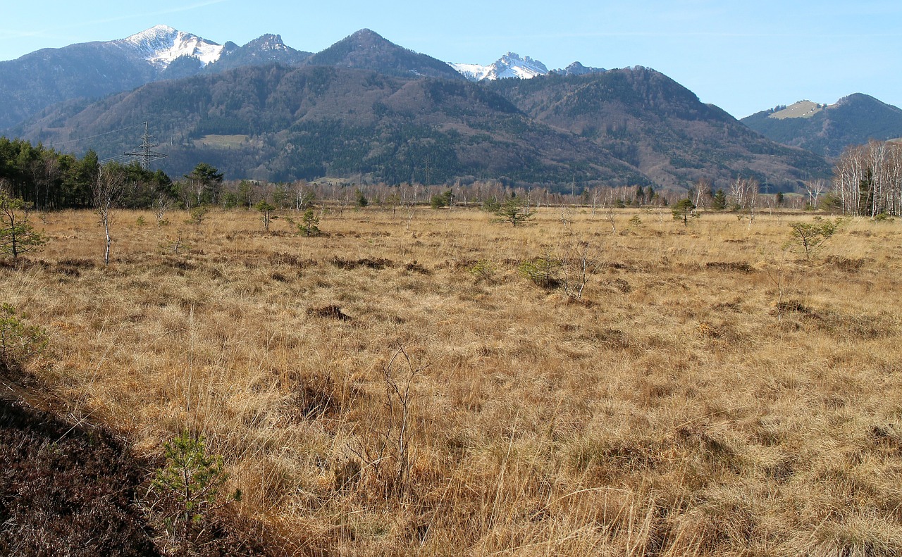 landscape chiemgau bavaria free photo