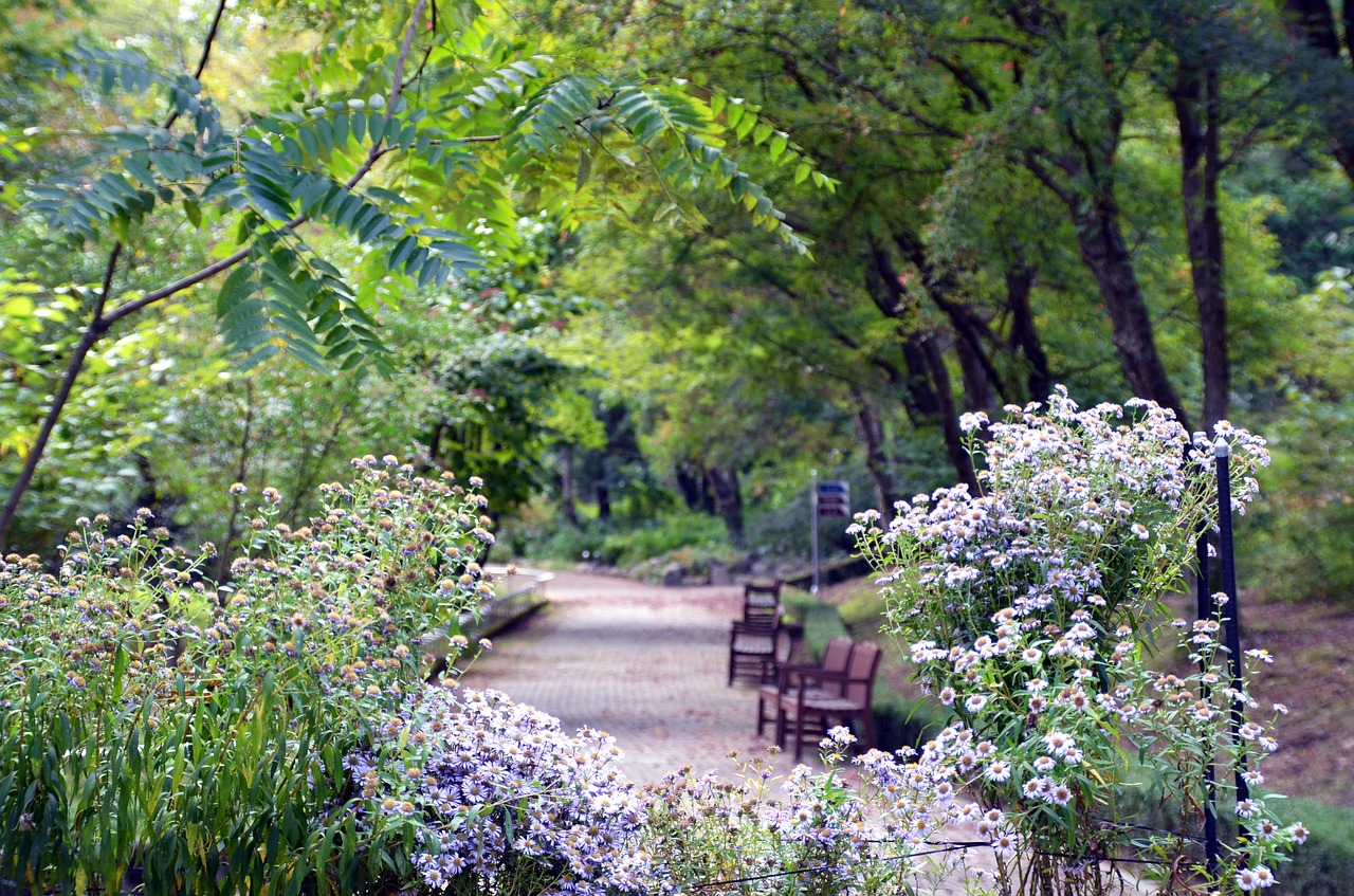 landscape arboretum nature free photo
