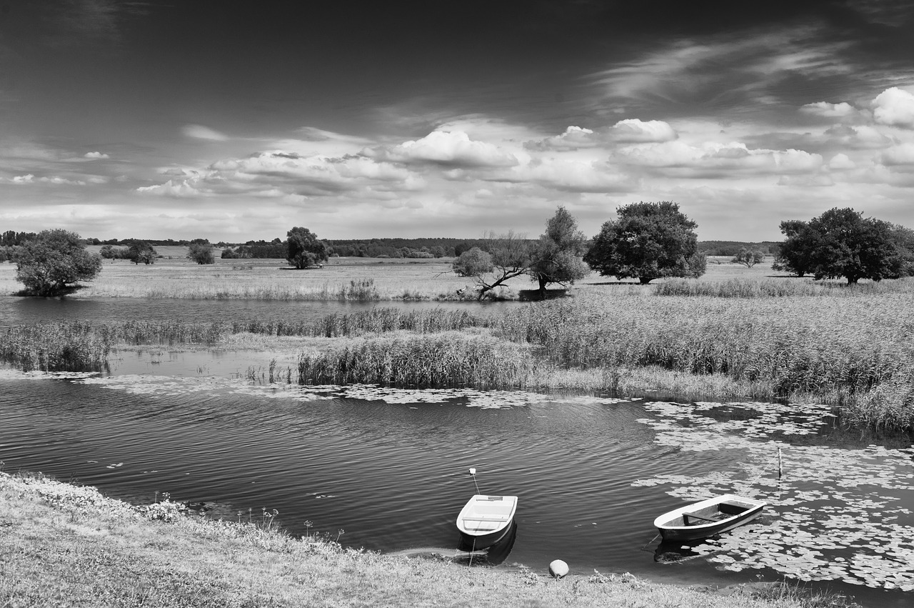 landscape oderbruch nature free photo