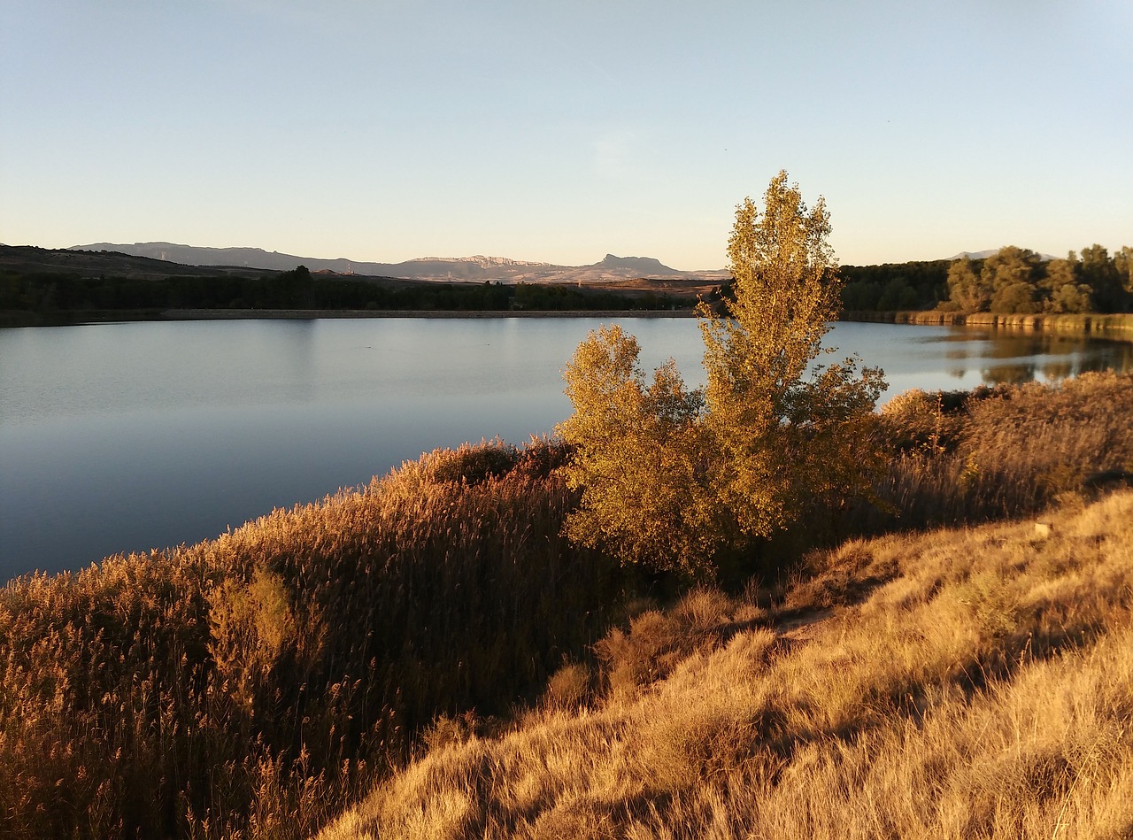 landscape lake nature free photo