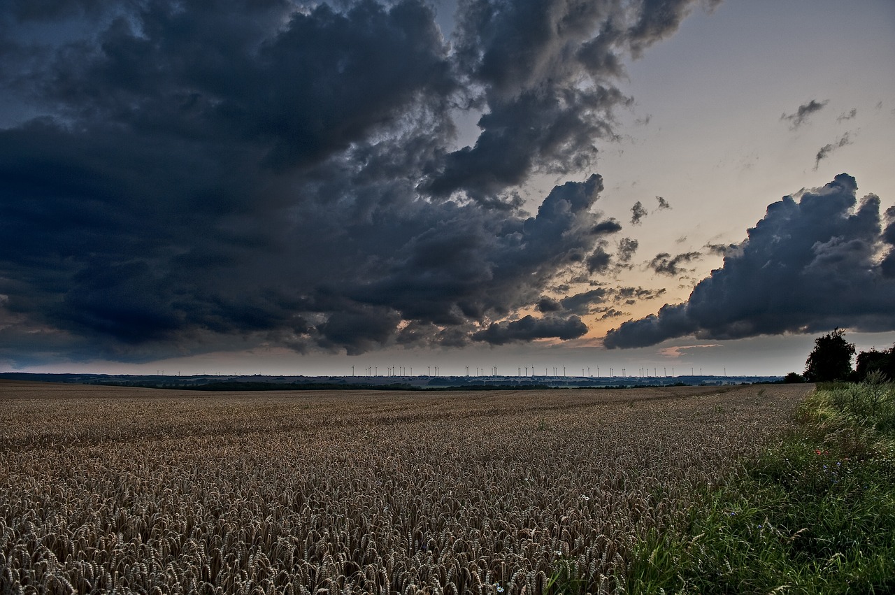 landscape mood dusk free photo